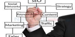SEO Optimization SEO Optimization