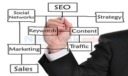 SEO Optimization SEO Optimization